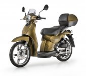2011 Aprilia Scarabeo 50 4T 4V photo